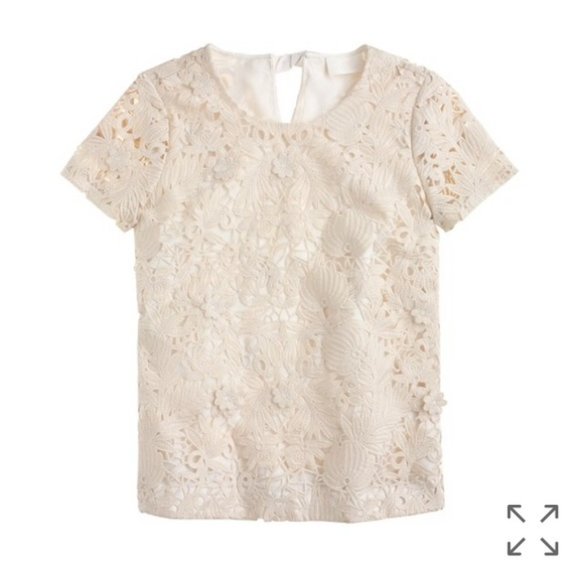 J. Crew Tops - J. Crew Collection Guipure Lace Daisy Top $375
